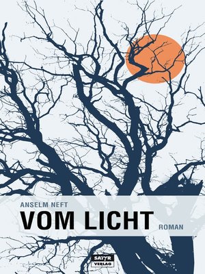 cover image of Vom Licht
